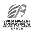logo_jlsv_v2